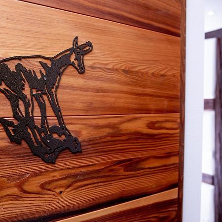 Appartement Le Chamois Kaysersberg-Vignoble Eksteriør billede