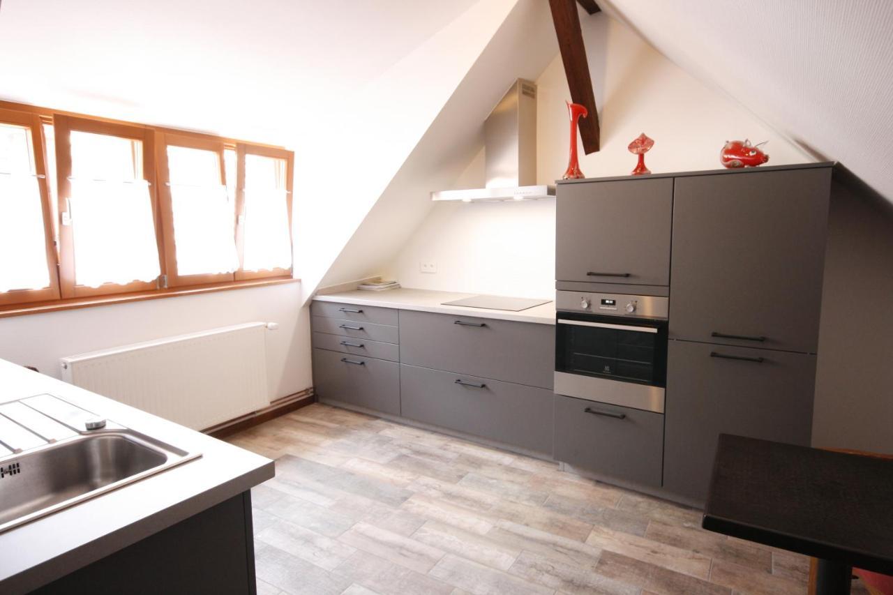 Appartement Le Chamois Kaysersberg-Vignoble Eksteriør billede