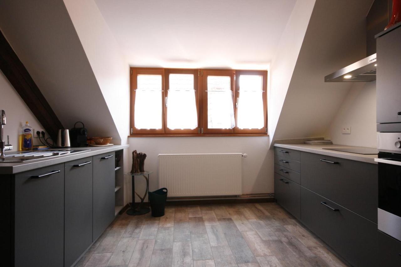 Appartement Le Chamois Kaysersberg-Vignoble Eksteriør billede